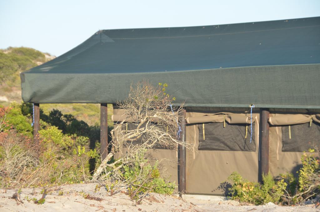 West Coast Luxury Tents Dwarskersbos Exterior foto